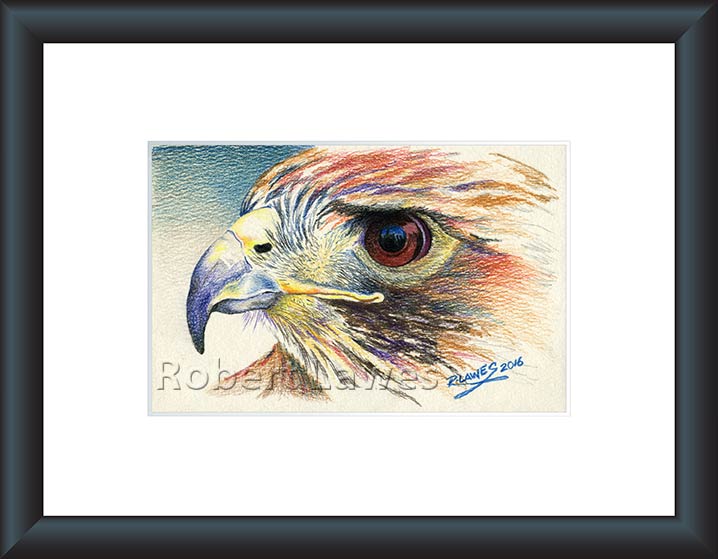 My Little Buddy Pencil Crayon